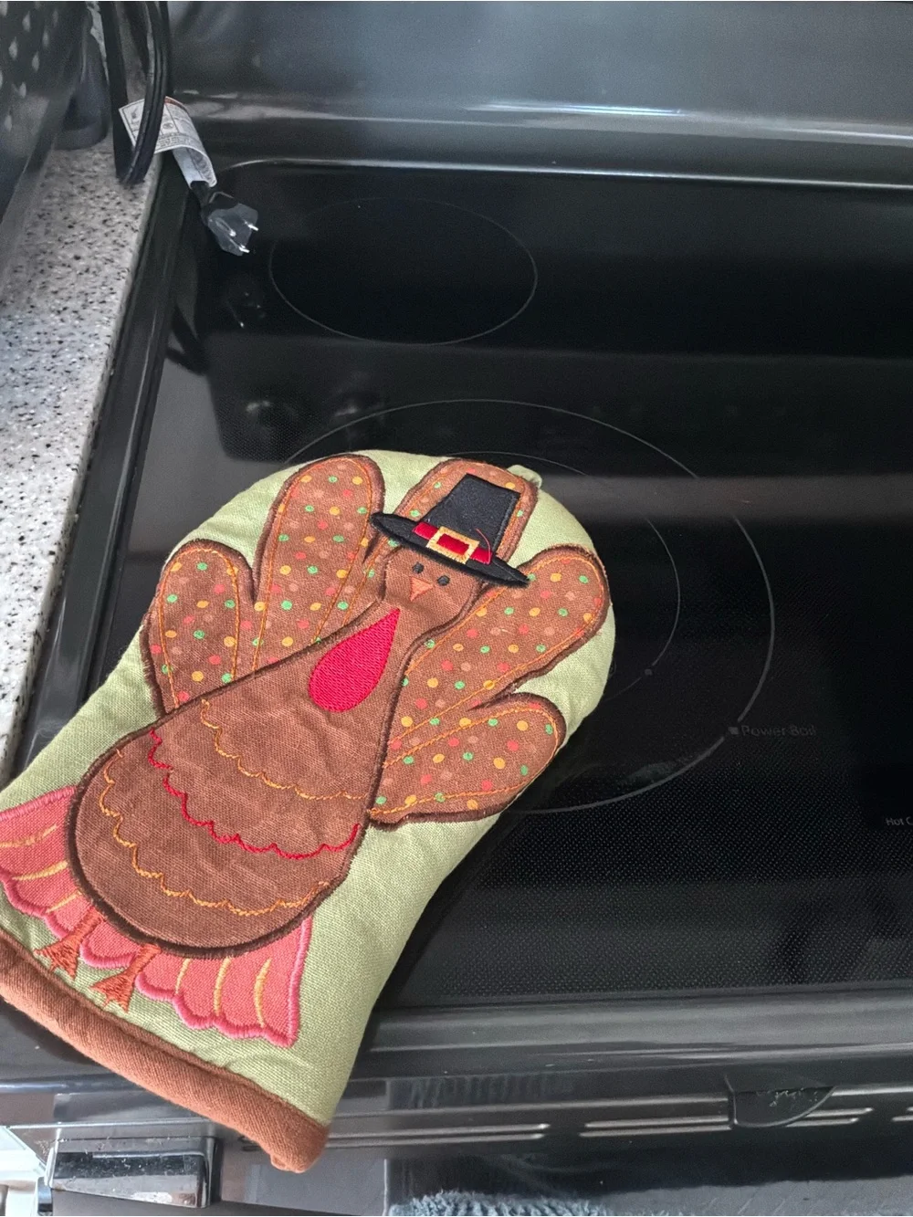 Festive Turkey Oven Mitt in Green and Brown